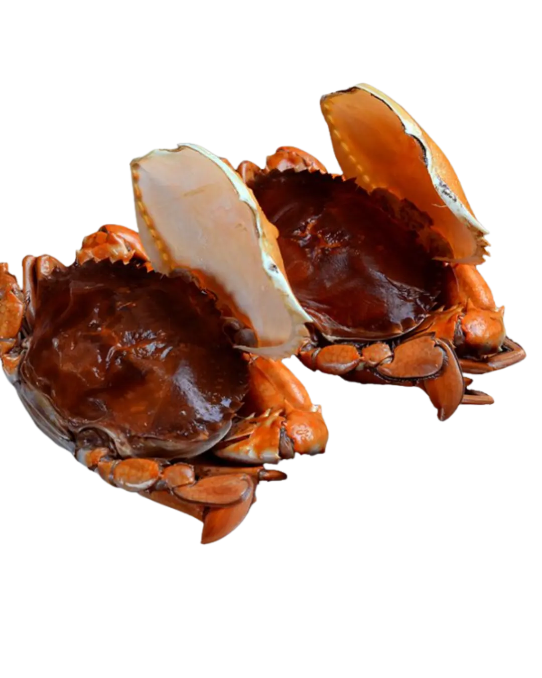 Cua Lột (Cua 2 Da) Duy Phát – Đặc Sản Cao Cấp, Giàu Dinh Dưỡng