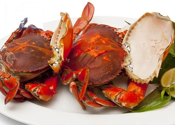 Cua lột (cua 2 da)