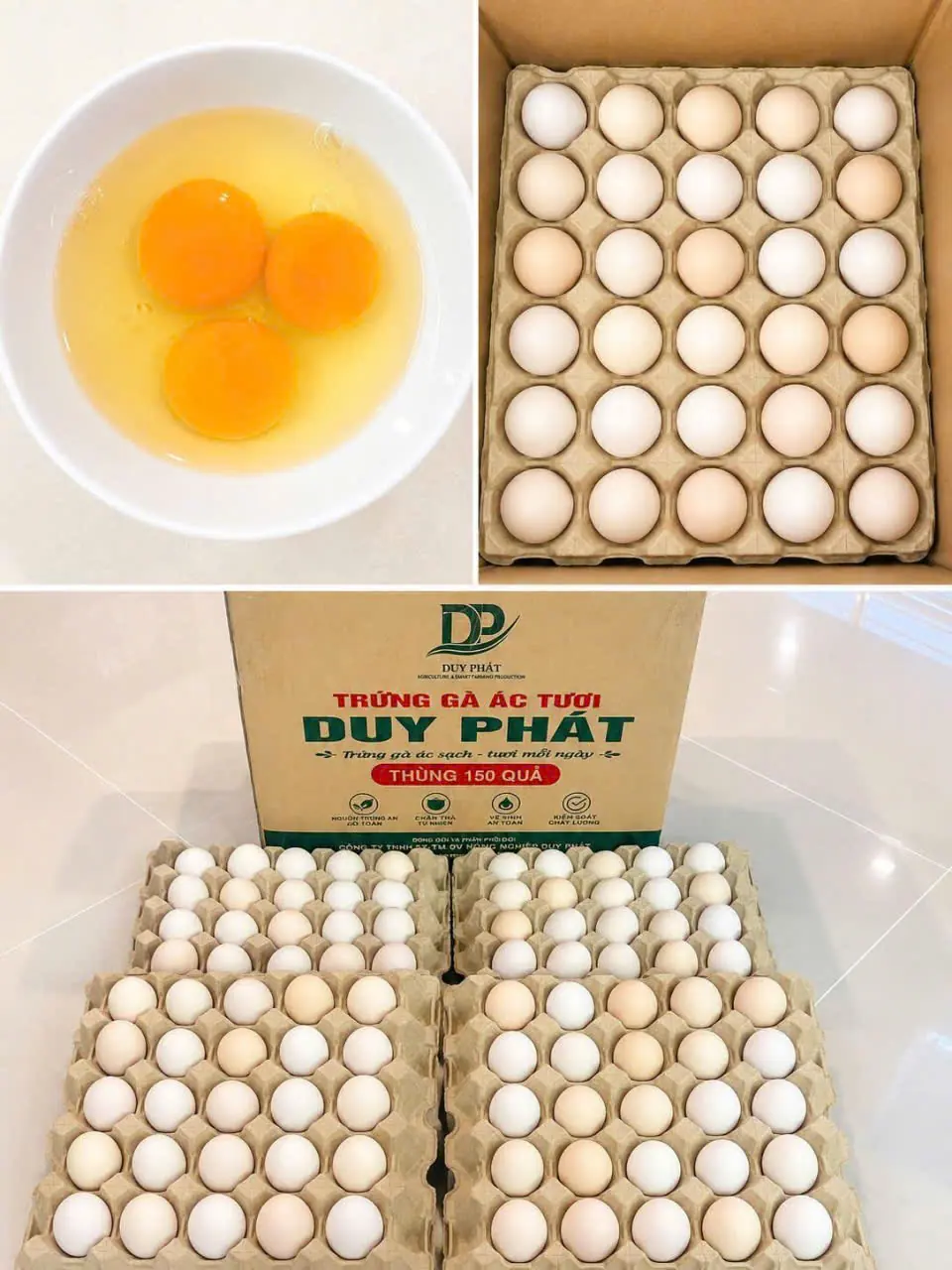 Trứng Gà Ác Tươi Duy Phát Thùng 150 Quả – Trứng Sạch, Tươi Mỗi Ngày