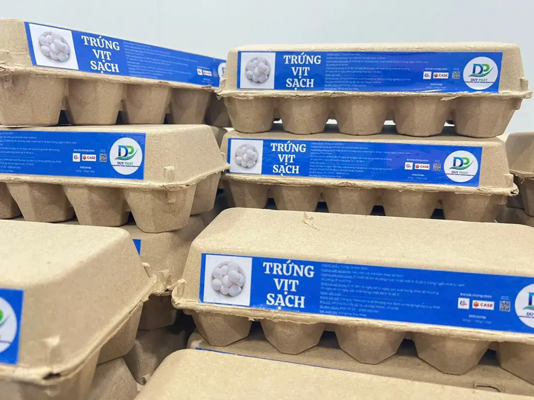 Trứng vịt sạch